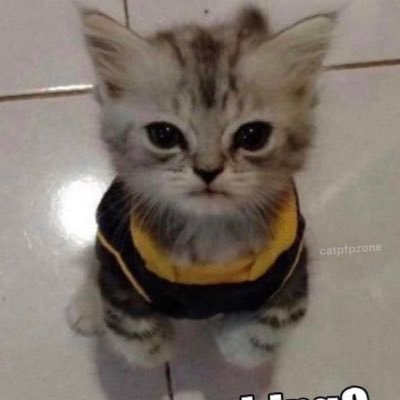 Ghostminer7's profile picture. Player of games :|