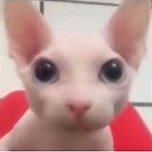 bingus trying to get good at osu
https://t.co/rVCd1aRnr1