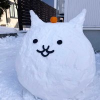 ako (@0n8f7yf3sbdumbd) Twitter profile photo