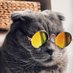 Kenobinator (@kenobinator) Twitter profile photo Kenobinator (@kenobinator) Twitter profile photo