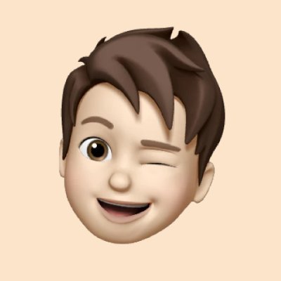 🧑💻 Software Engineer @flowbaseco & @quillow_ ✳︎ Co-Founder @feedspring_ & @optily_