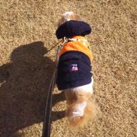 yuzu36 (@36yuz) 's Twitter Profile