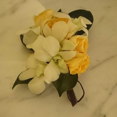 X 初心者です…。25↑腐女子です。
マイペースに土岐隼一さんなど声優さんを応援しています！同担さん歓迎！
今は持病の関係で殆どの現場に行けません！
その事以外も呟く雑多垢です。
コミュ障なので万が一フォローされる場合は一言ください！
他の好きなものはツイフィで！