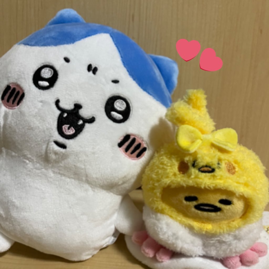 ハチワレ、古本屋、モモンガ、うさぎ寄りのちいかわ箱推し✨ぐでたまと天元推し✨返事できてなかったらごめんなさい🙏リフォロー、絡み絶対な方ごめんなさい🙏DMは24h🙆♀️フォロー外からもできます!※日本語のみ🙇♀️