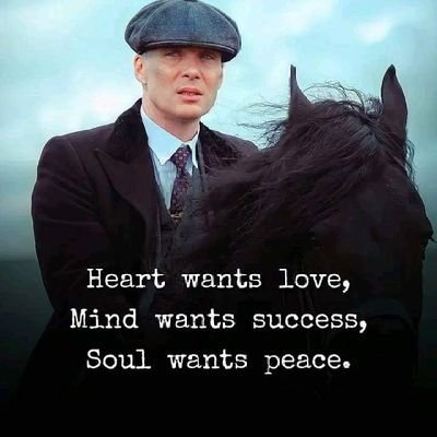 Mosesthebigdog's profile picture. 