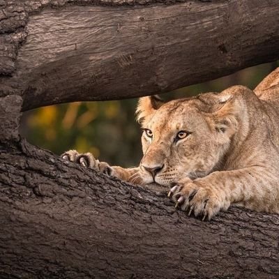 maxwirehera's profile picture. Journalist|| keep it simple.