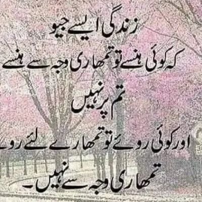 Gul98860643's profile picture. 