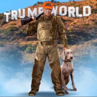 Crypt0_guruu's profile picture. DC : cryptottt