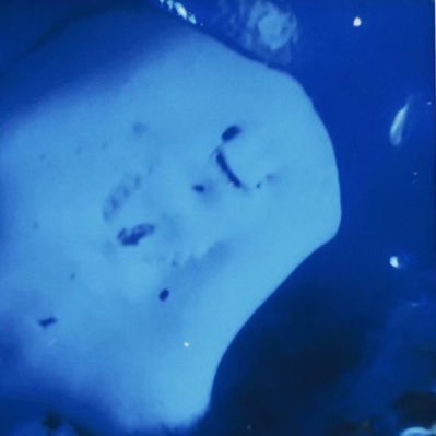 星野さんのプロフィール画像
