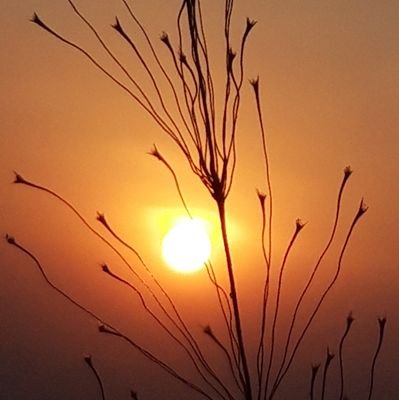 satishpawar7411's profile picture. 