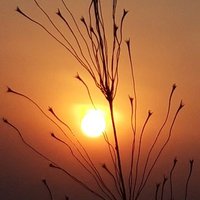 Satish Pawar (@satishpawar7411) 's Twitter Profile