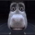 Benda (@benda_lol) Twitter profile photo Benda (@benda_lol) Twitter profile photo