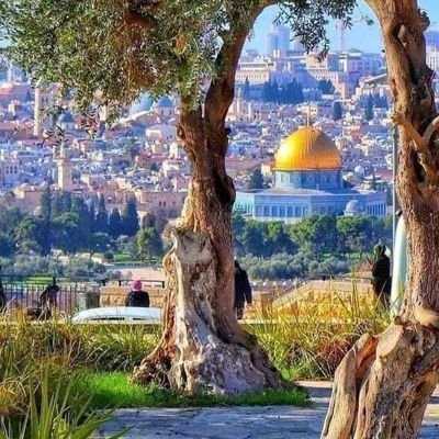 I come as one, but I stand as one thousand
🌸🇵🇸💙