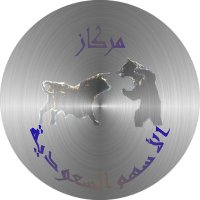 مركاز الاسهم (@merkaz_stock) 's Twitter Profile Photo