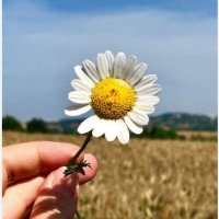 TUĞÇE (@tgc1tgc2tgc) 's Twitter Profile Photo TUĞÇE (@tgc1tgc2tgc) 's Twitter Profile Photo