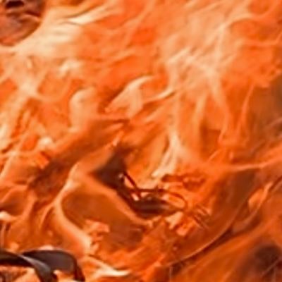 Amauri62758484's profile picture. Independant Broker - economic & financial analyst.