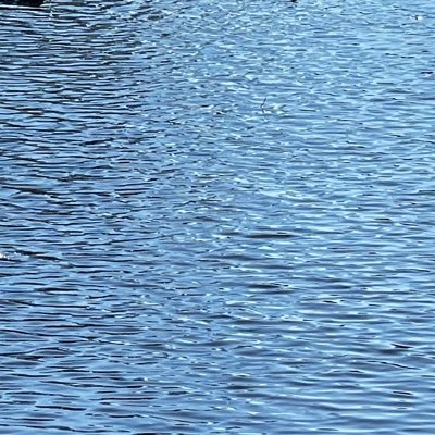 poyo_ppp_poyo's profile picture. すきなことだけでいいです