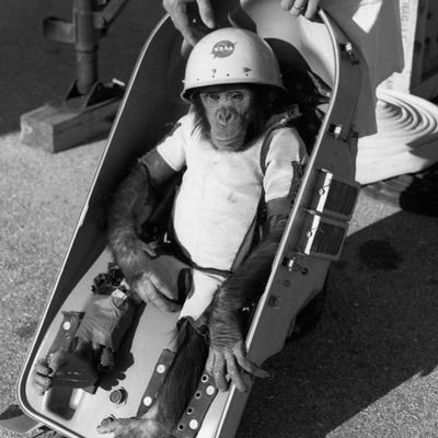 huihui2002s's profile picture. 