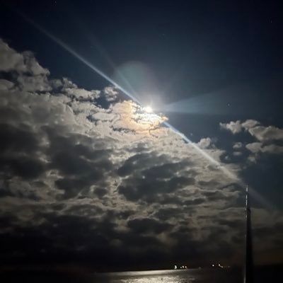 5ZCNqecnhX7dIV8's profile picture. 趣味は磯釣り🐡とガーデニング🍀 海と庭で奮闘中💪ぼっち生活になったので家事にも奮闘中でございます💦幸せってなんでしょうか？(￣▽￣;)