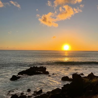 Mineral physicist, earth and planetary scientist, husband and dad. he/his. @UHManoa