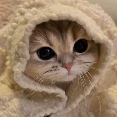 إعطنى وعدًا بأن لا تذهب
.. سوف أعدك بشئ آخر وهو أن اعود إليك مهما حدث .🩷