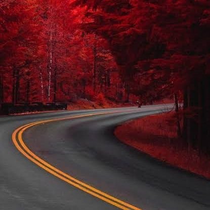 laouarem_elhadj's profile picture. تظل الحرية تلك القيمة الفاصلة بين الإنسان المكرم وبين الحيوان المسخَّر المستعبد. #عبد_الكريم_بكار