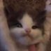 Yep (@yerp999) Twitter profile photo Yep (@yerp999) Twitter profile photo
