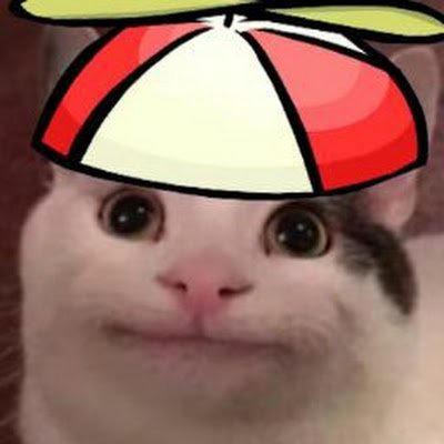 seaocsee's profile picture. 