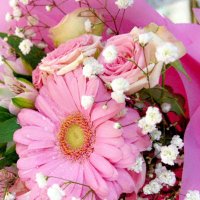 Tootaa65 Elenzi (@om3athbi_65) Twitter profile photo