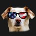 JellyBeaner🗽🇺🇸 (@jessesgurrl) Twitter profile photo JellyBeaner🗽🇺🇸 (@jessesgurrl) Twitter profile photo