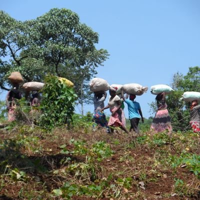 We are a Community Development Enterprise working to improve local farming techniques, ensure food safety/security while alleviating poverty within rural areas.