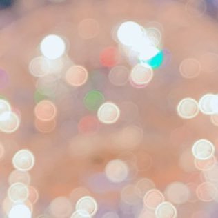 pp0v0qq's profile picture. 閲覧垢