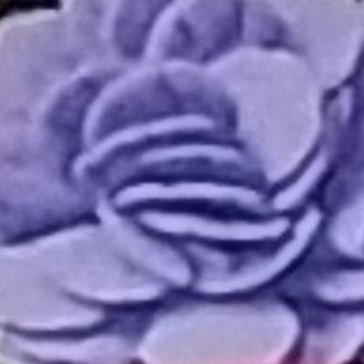 嵐が大好きです。風を送りたいと始めたけれど、ちょっとお休み気味です。
無言フォローお許しください。フォロー外して頂いてかまいません。