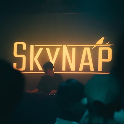 skynap_ Profile Picture