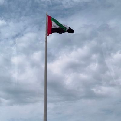 zainab2728's profile picture. 