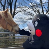 Yokoso!JAPAN (@osiri_pengpeng) 's Twitter Profile