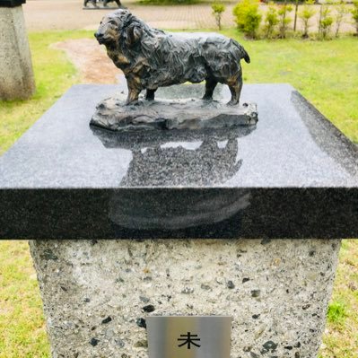 kt_sj3's profile picture. 趣味は旅行🚅 映画🎦 スポーツ観戦⚾️ 懸賞🎉始めたばかりですが、懸賞仲間募集しています 気軽にフォローお願いします 当選報告必ずさせていただきます✨ 無言フォロー失礼します #懸賞垢さんと繋がりたい #懸賞好きな人と繋がりたい #懸賞仲間募集中 #懸賞垢フォロバ100 #けけの当選報告📣