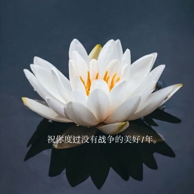 華々✨ 🪷✨さんのプロフィール画像