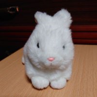 だほん (@t_dahon) 's Twitter Profile
