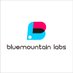Bluemountain Labs (@bm_labs) Twitter profile photo Bluemountain Labs (@bm_labs) Twitter profile photo