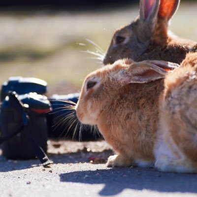 表現すること、伝えること。その瞬間、その一瞬。 ポートレート撮影3年目、囲み撮影会中心で。いつもいいね、リポストありがとうございます。 カメラ:SONY α7R Ⅴ・α7RMⅲ、(Nikon D500)。@CC_kazoo