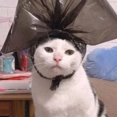 pretending like I know what I’m doing with my life