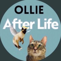Ollie After Life(@olliecomicstrip) 's Twitter Profile Photo