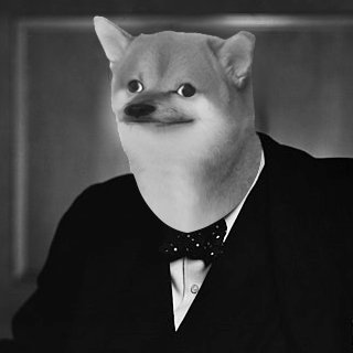 NAFOpress's profile picture. 