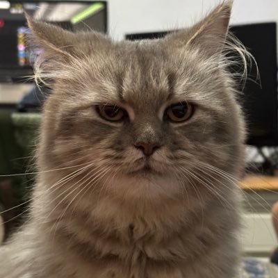 flamhotcheetoz's profile picture. 