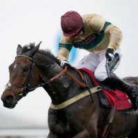 beau morgan (@beaumorgan15) 's Twitter Profile