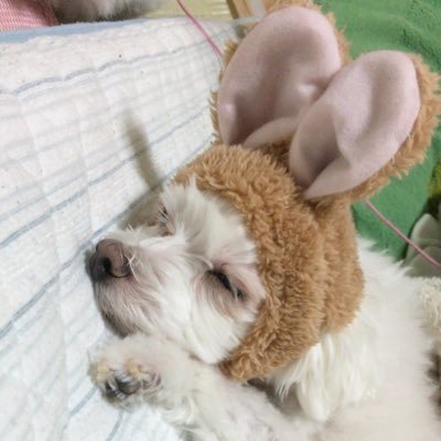 アイさんのプロフィール画像