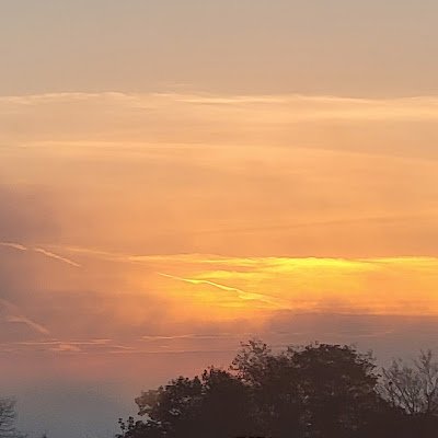 MelissaGroth2's profile picture. 