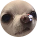 🫂새삥 (@birdbbing) Twitter profile photo 🫂새삥 (@birdbbing) Twitter profile photo