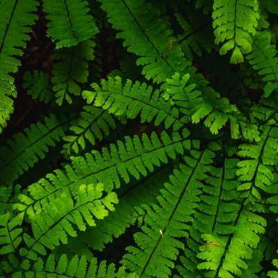 nick__75's profile picture. where is the scammers 👀?